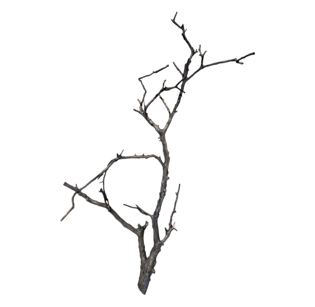 Octopus Wood Nr. 821