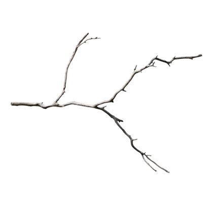 Octopus Wood Nr. 807