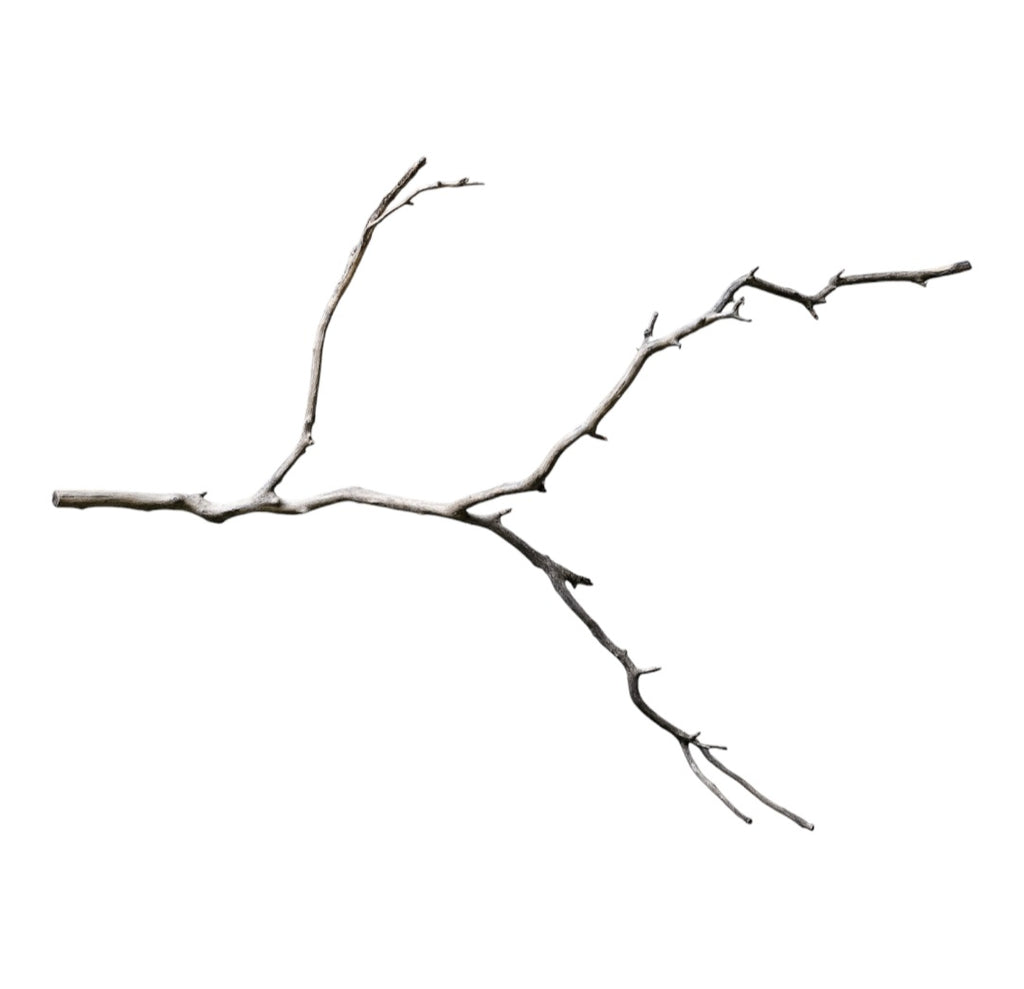Octopus Wood Nr. 807