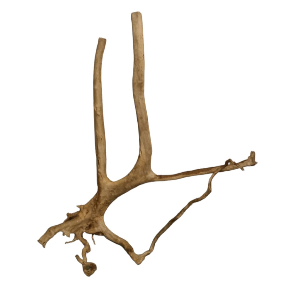 Rainforest Wood Stump Nr.469