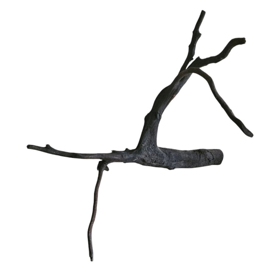 Black Root Nr.741