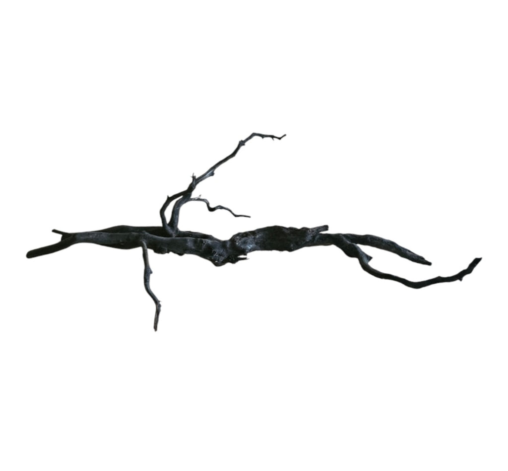 Black Root Nr.747