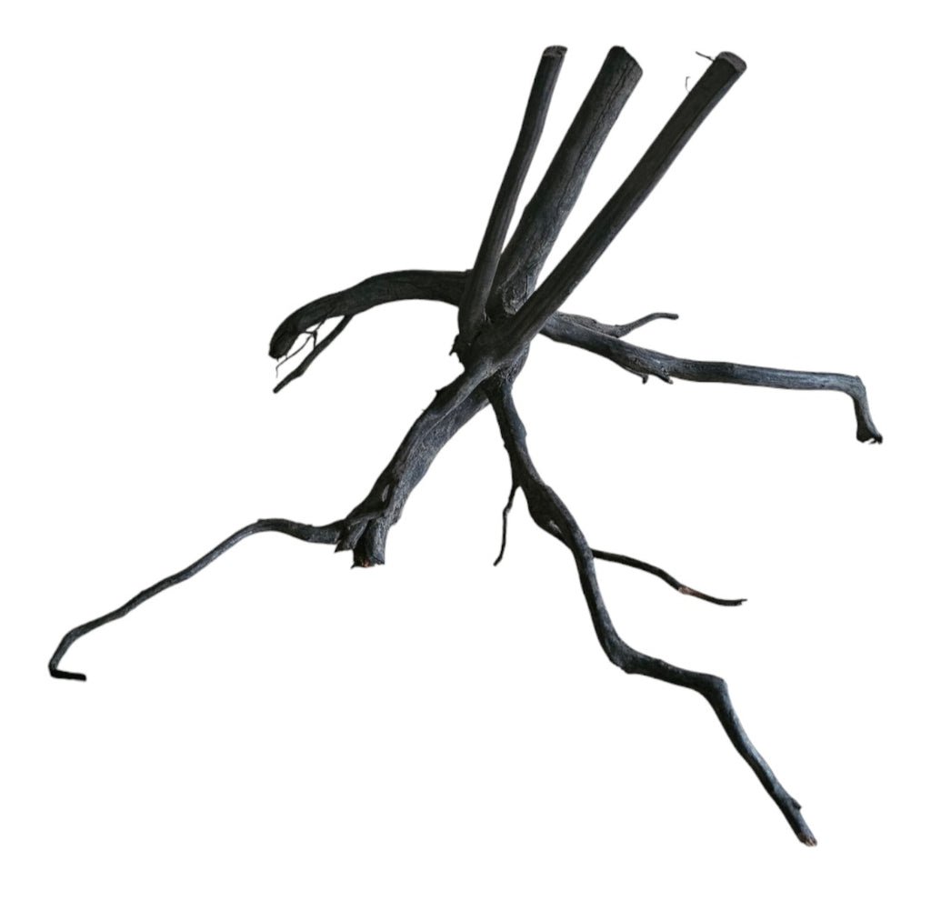 Black Root Nr.749