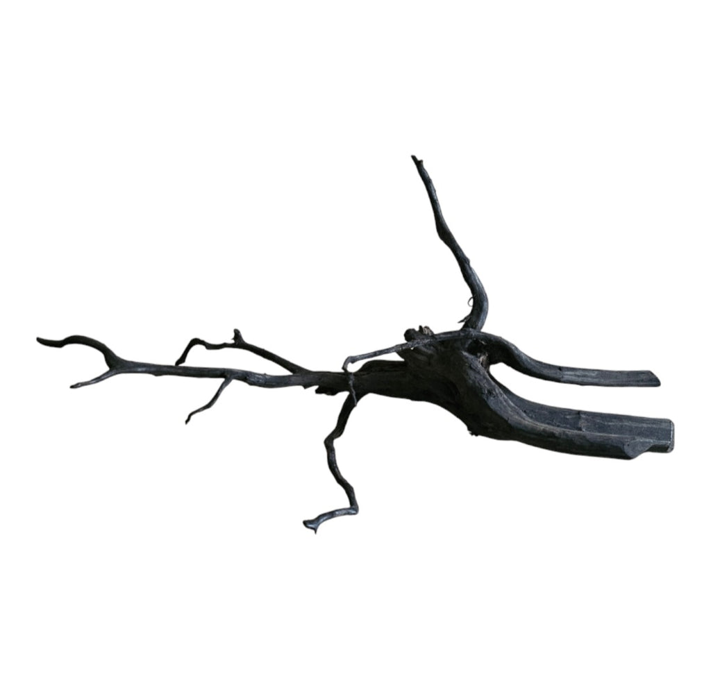Black Root Nr.750