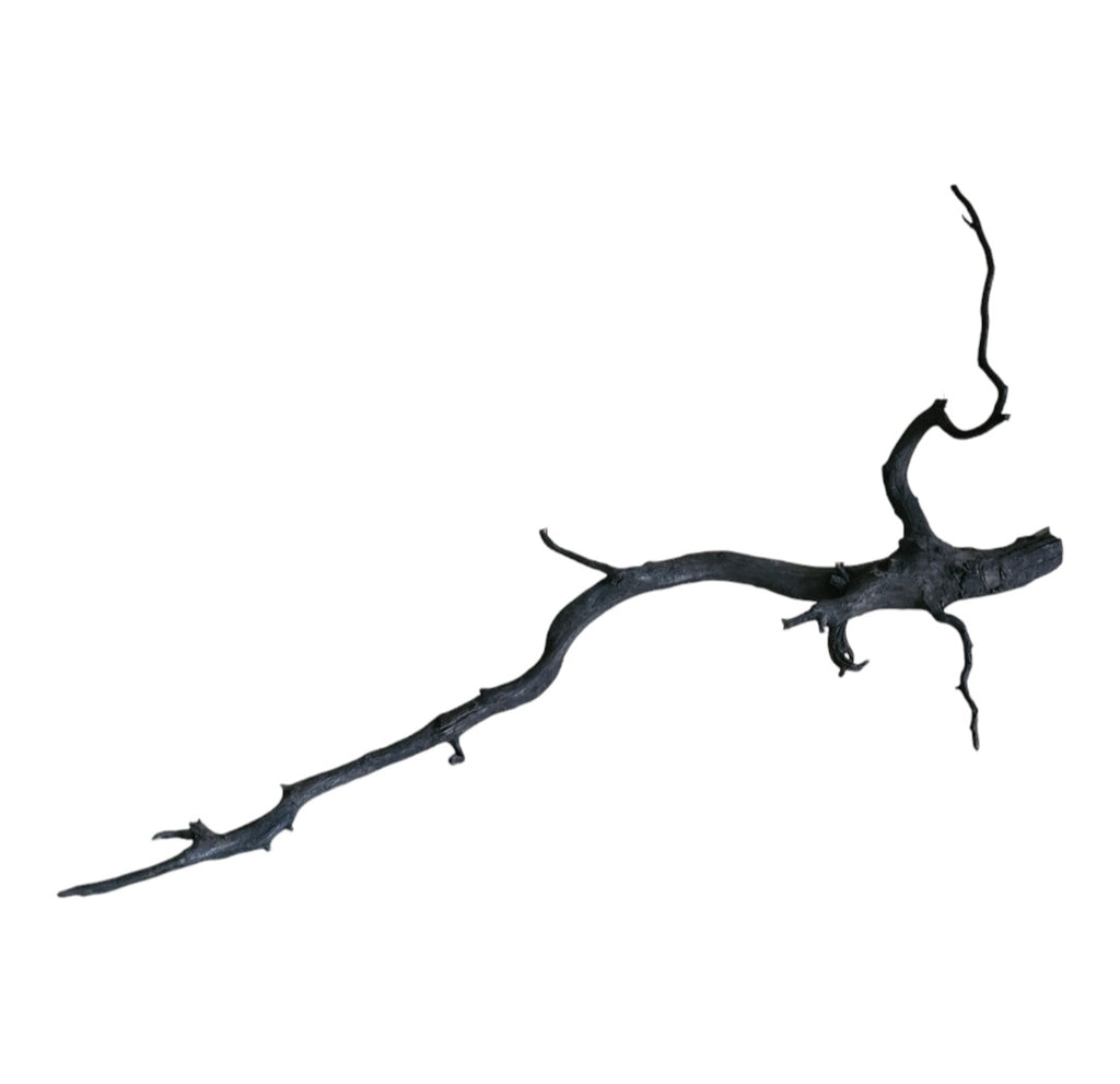 Black Root Nr.753