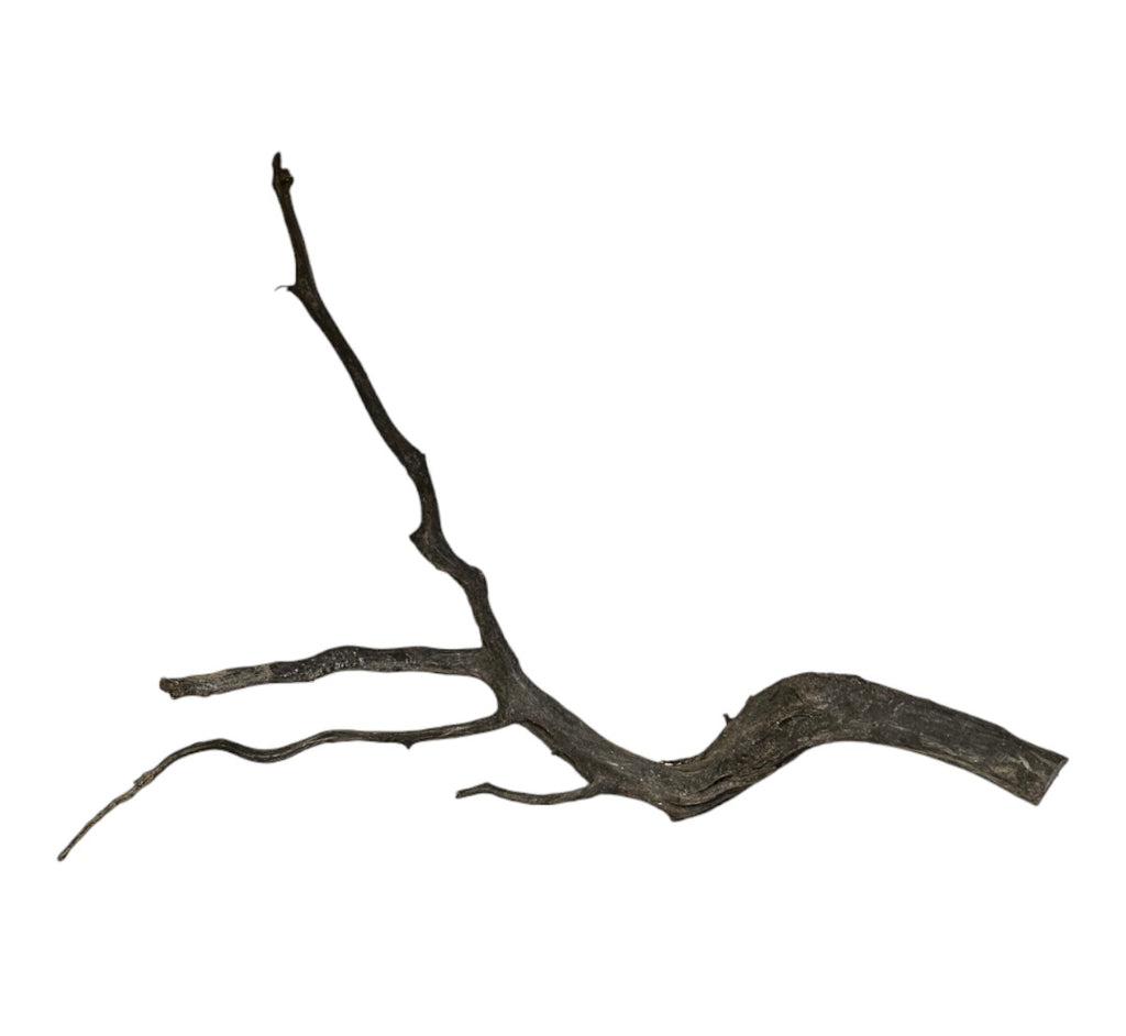 Black Root Nr.760