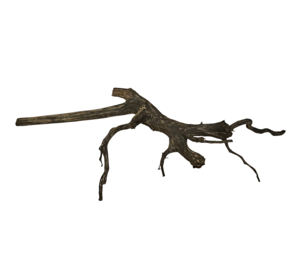 Black Root Nr.763