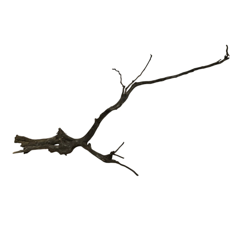 Black Root Nr.765