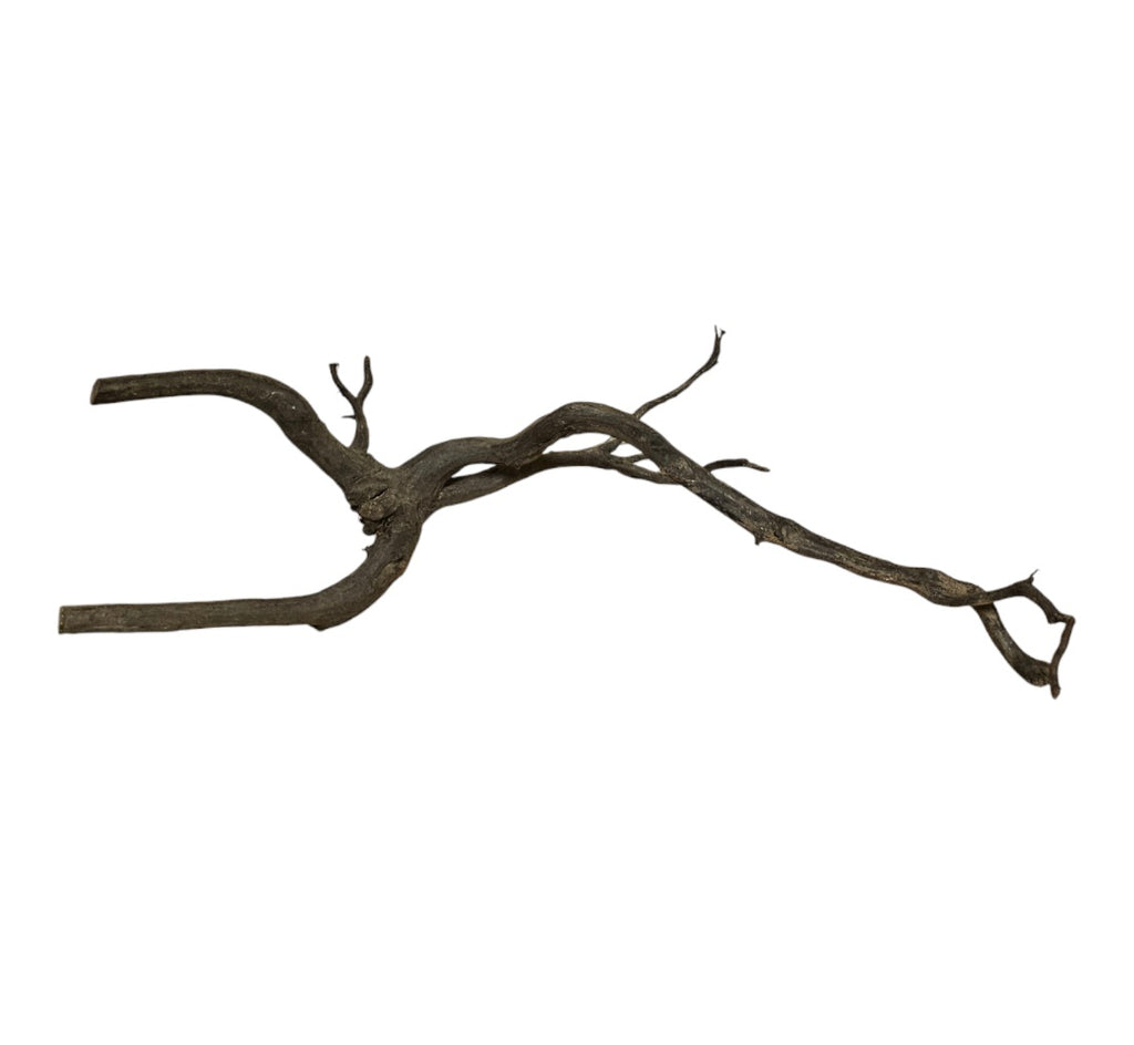 Black Root Nr.828