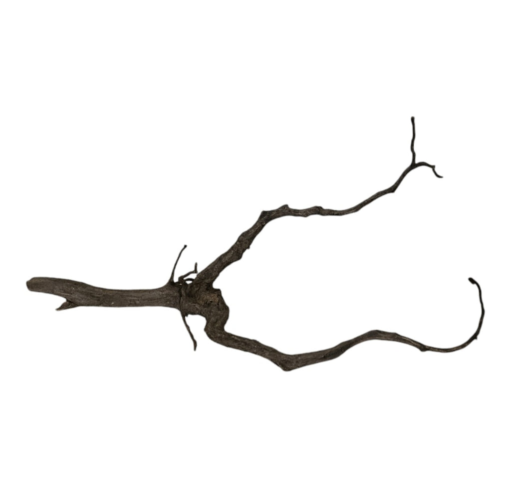 Black Root Nr.740