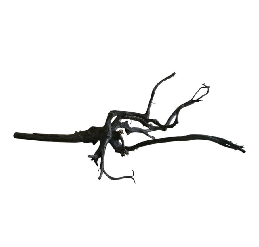 Black Root Nr. 278