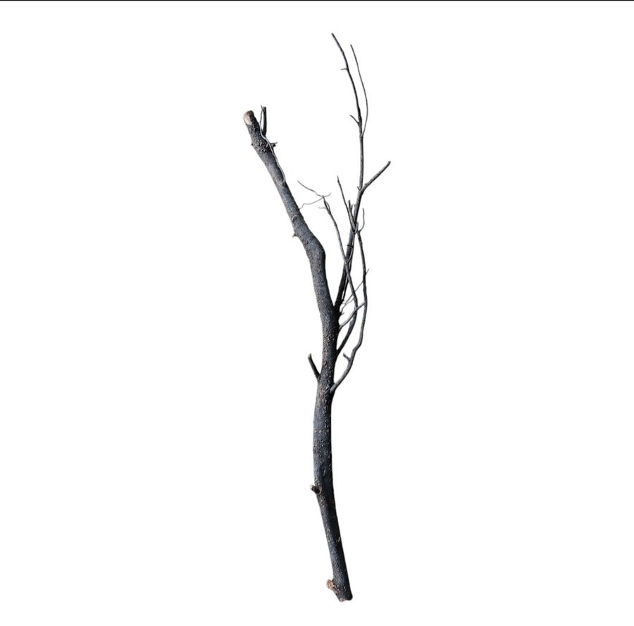 Shadow Wood Nr.795