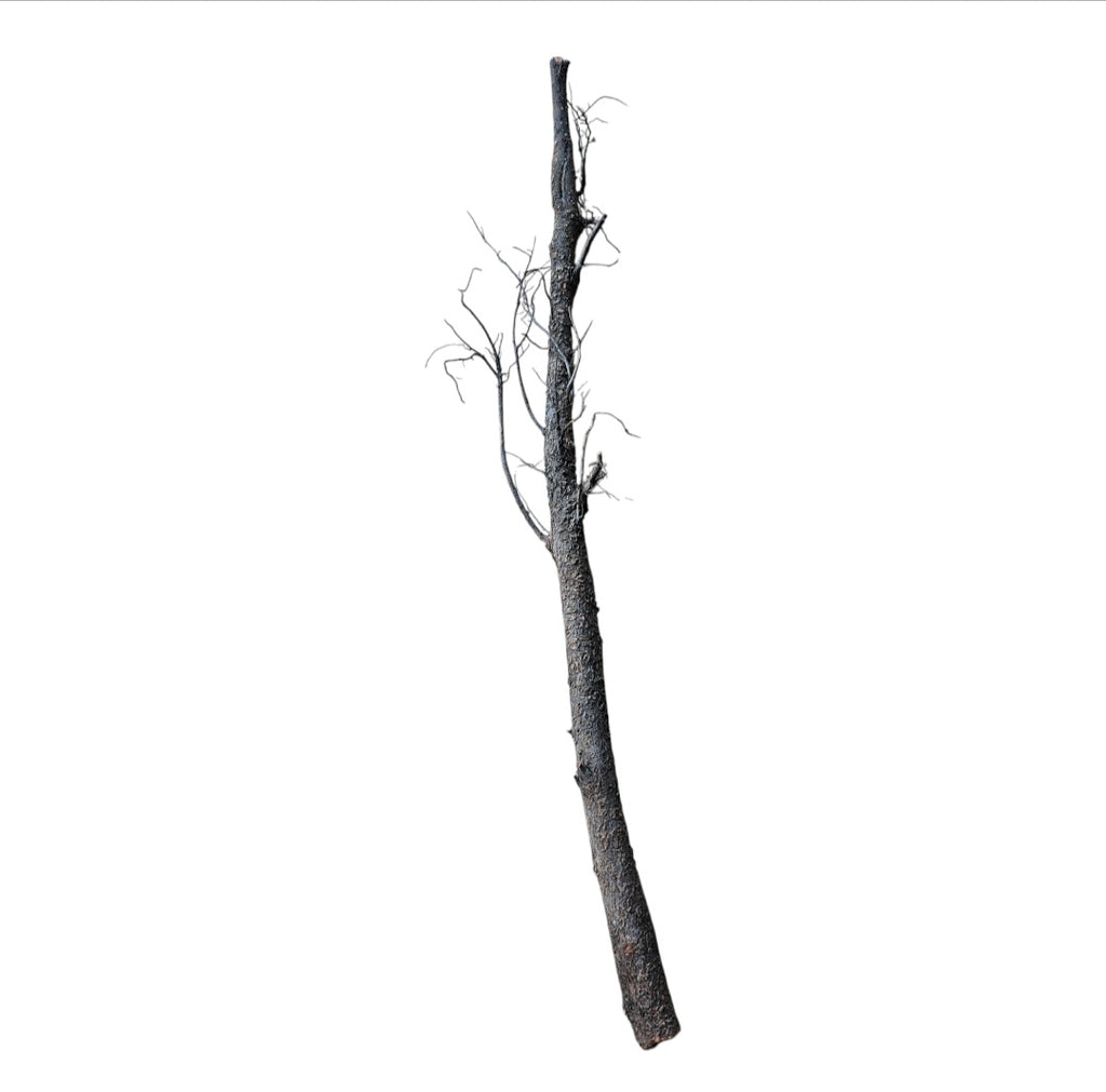Shadow Wood Nr.802