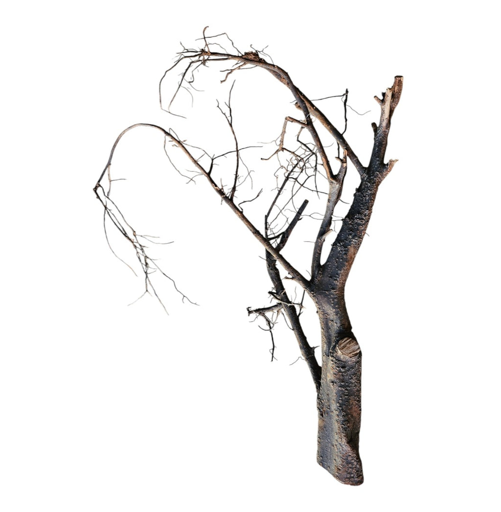 Shadow Wood Nr.805