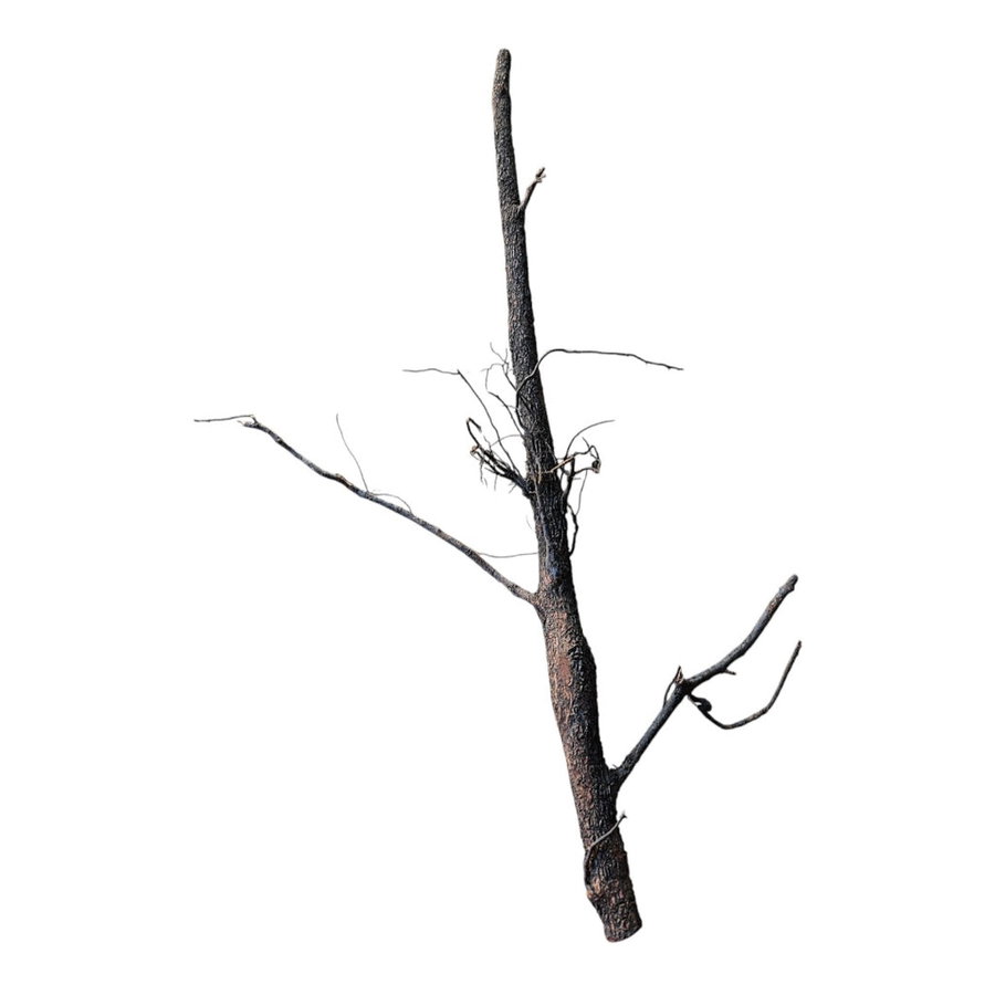 Shadow Wood Nr.806