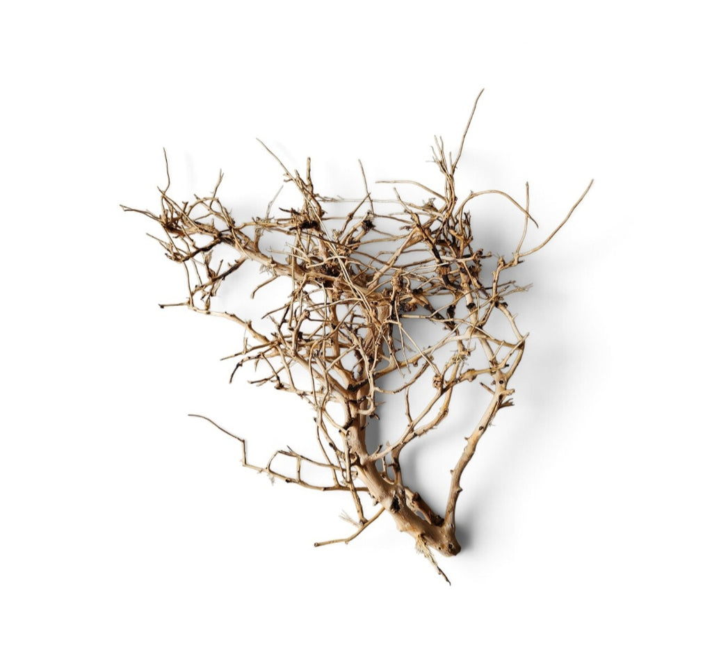 Small tree branches Nr.675