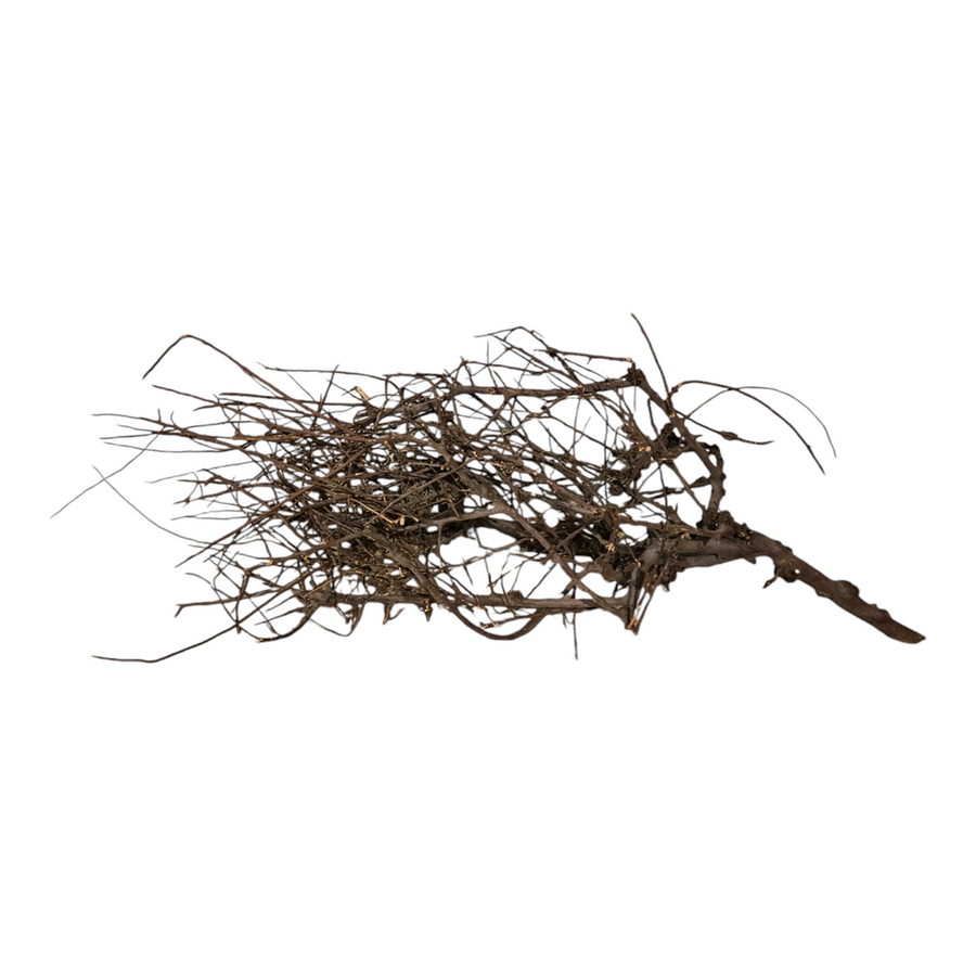 Small tree branches Nr.85