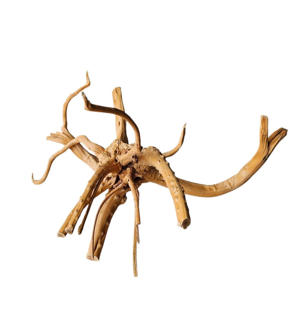 WIO Tree Trunk Wood Wurzel 292