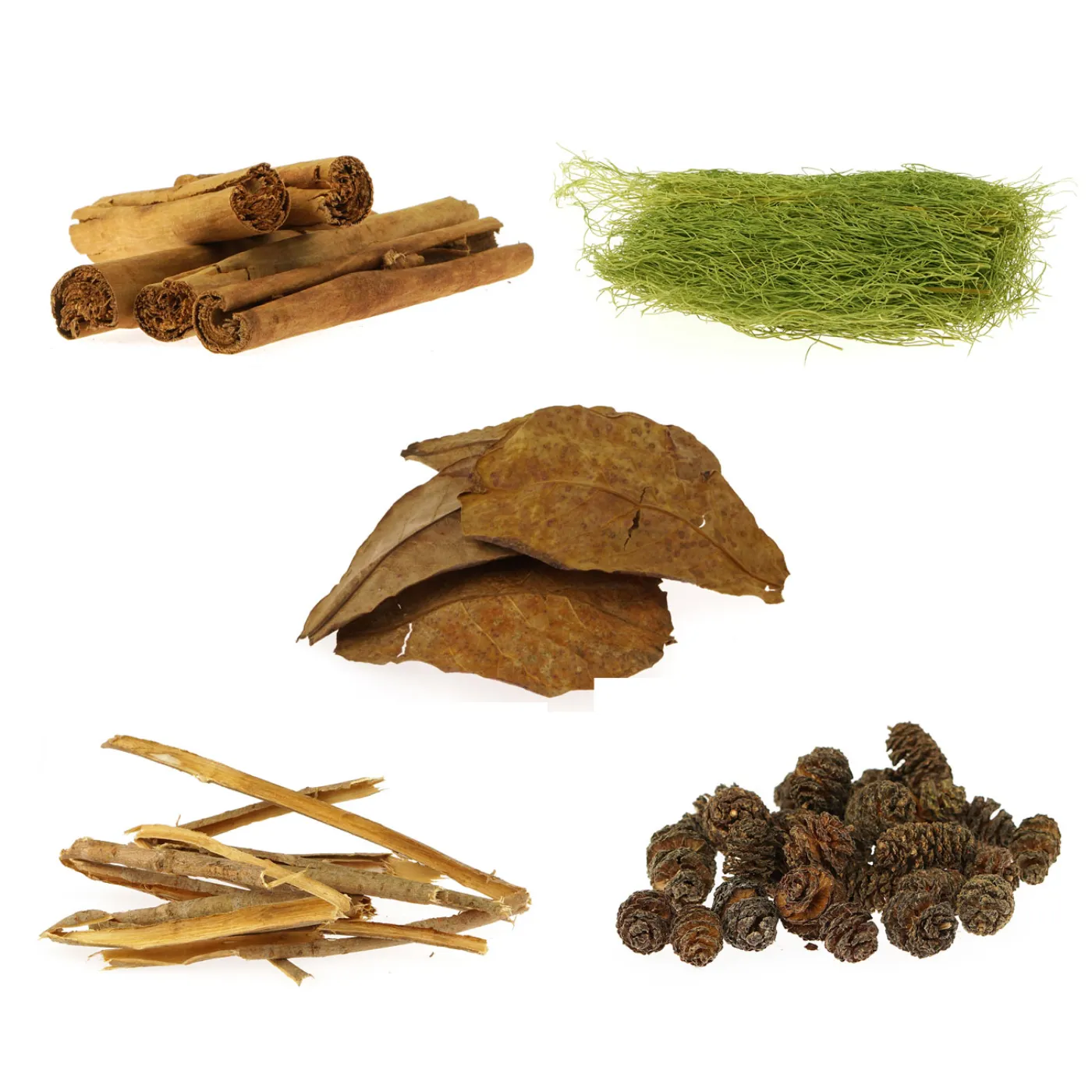 Aquarium Naturprodukte Set | natürliche Steigerung der Wasserqualität - 5-teilig