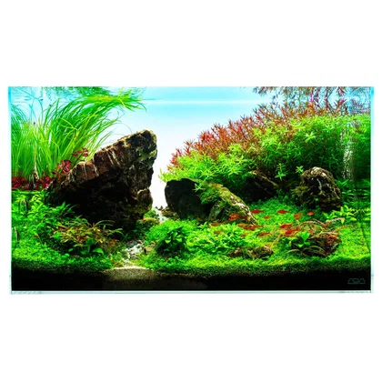 Aquarium Pflanzen Set "Beachpath" | 60l