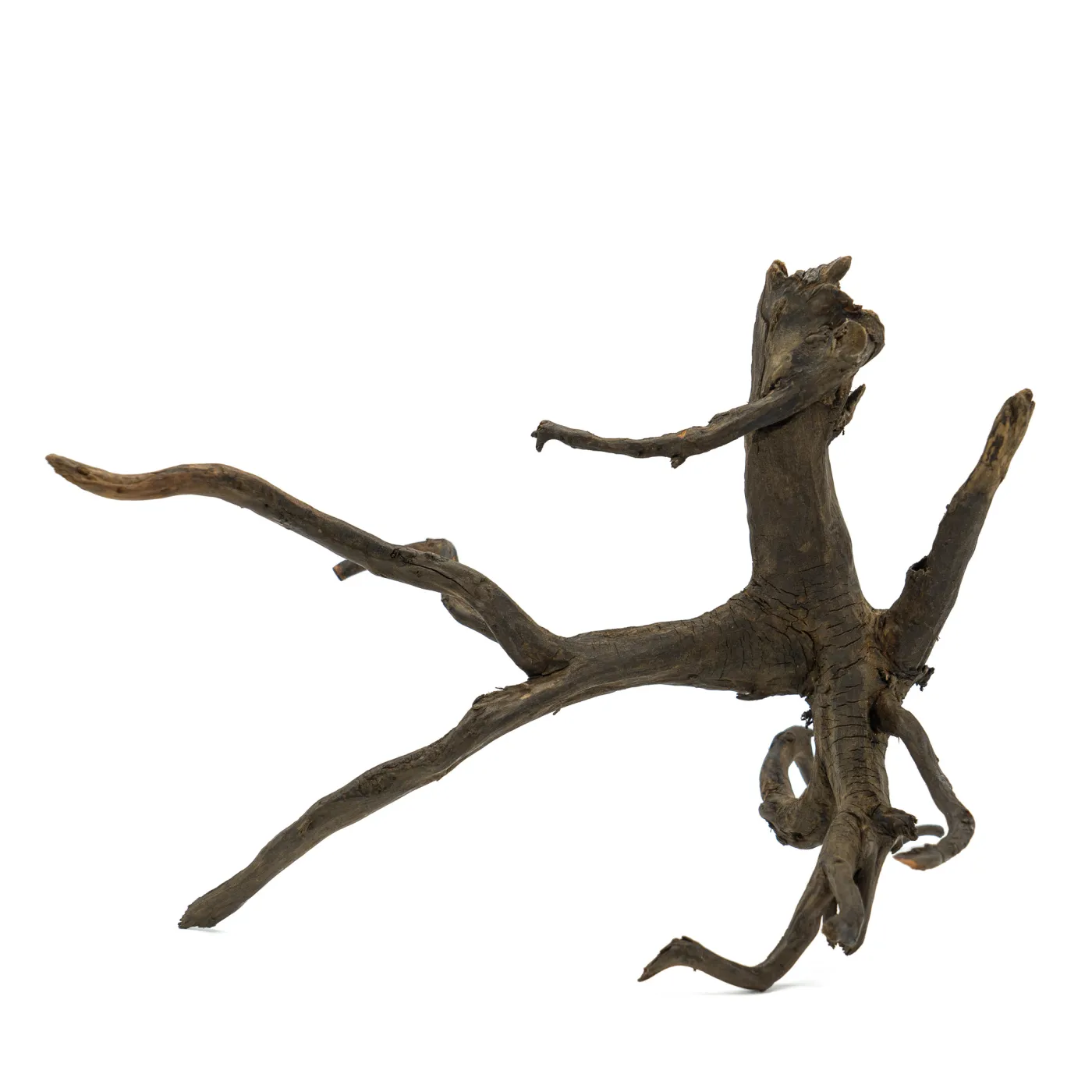 Black Root M Nr.424