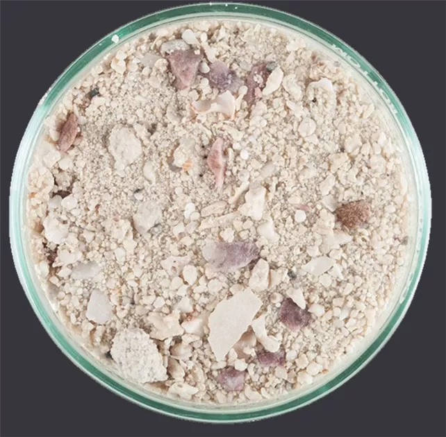 CaribSea Ocean Direct Live Sand