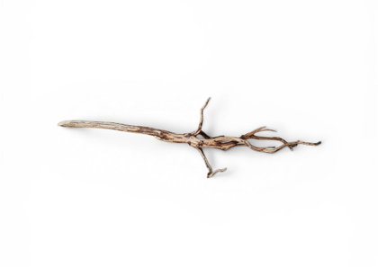Dark Snake Wood Nr.439