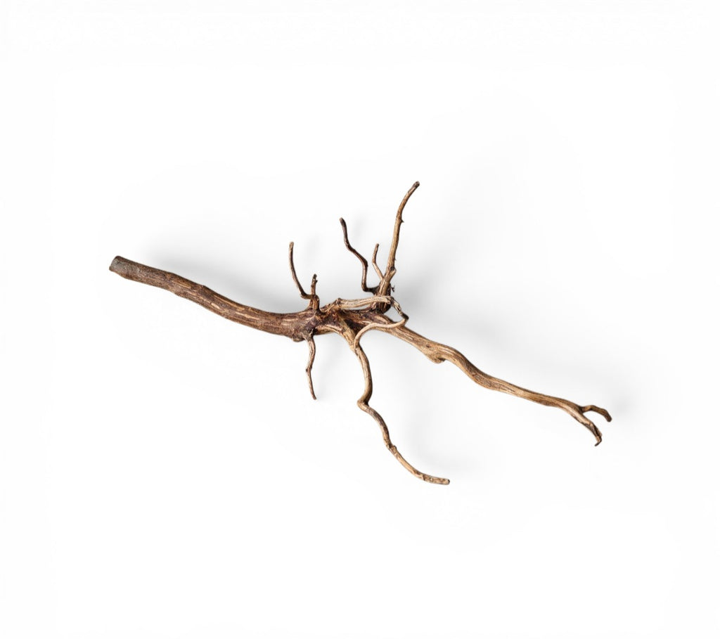 Dark Snake Wood Nr.441