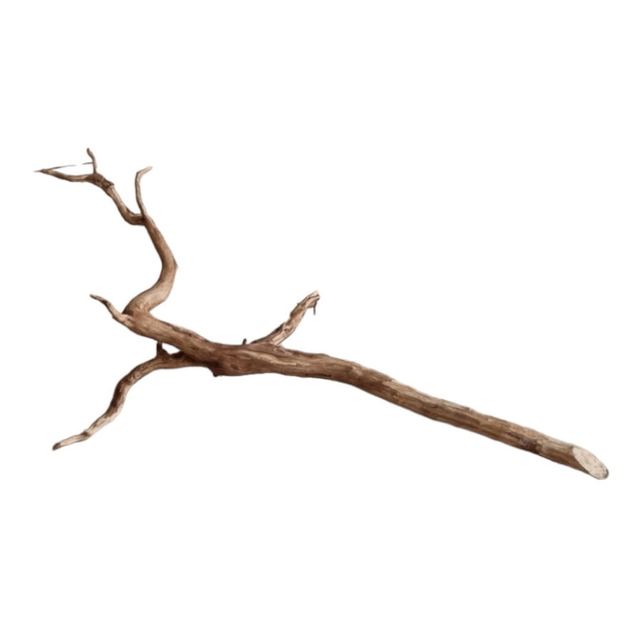 Dark Snake Wood Nr.442