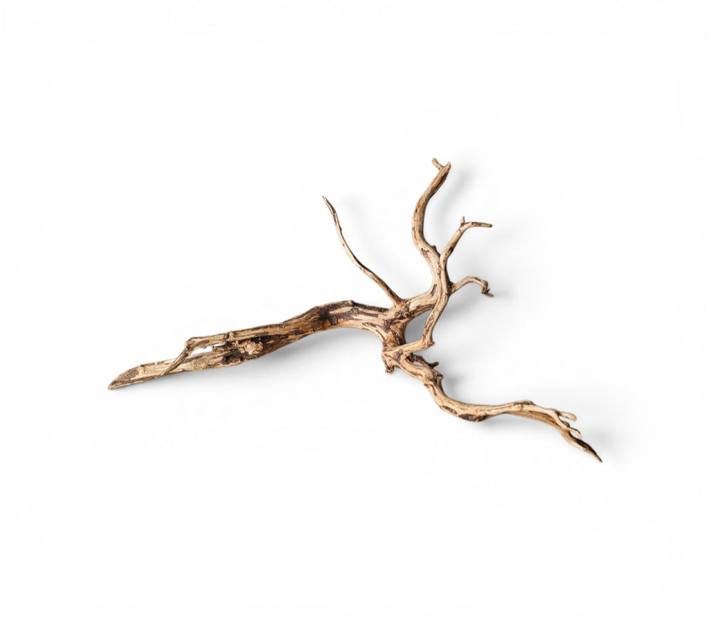 Dark Snake Wood Nr.443