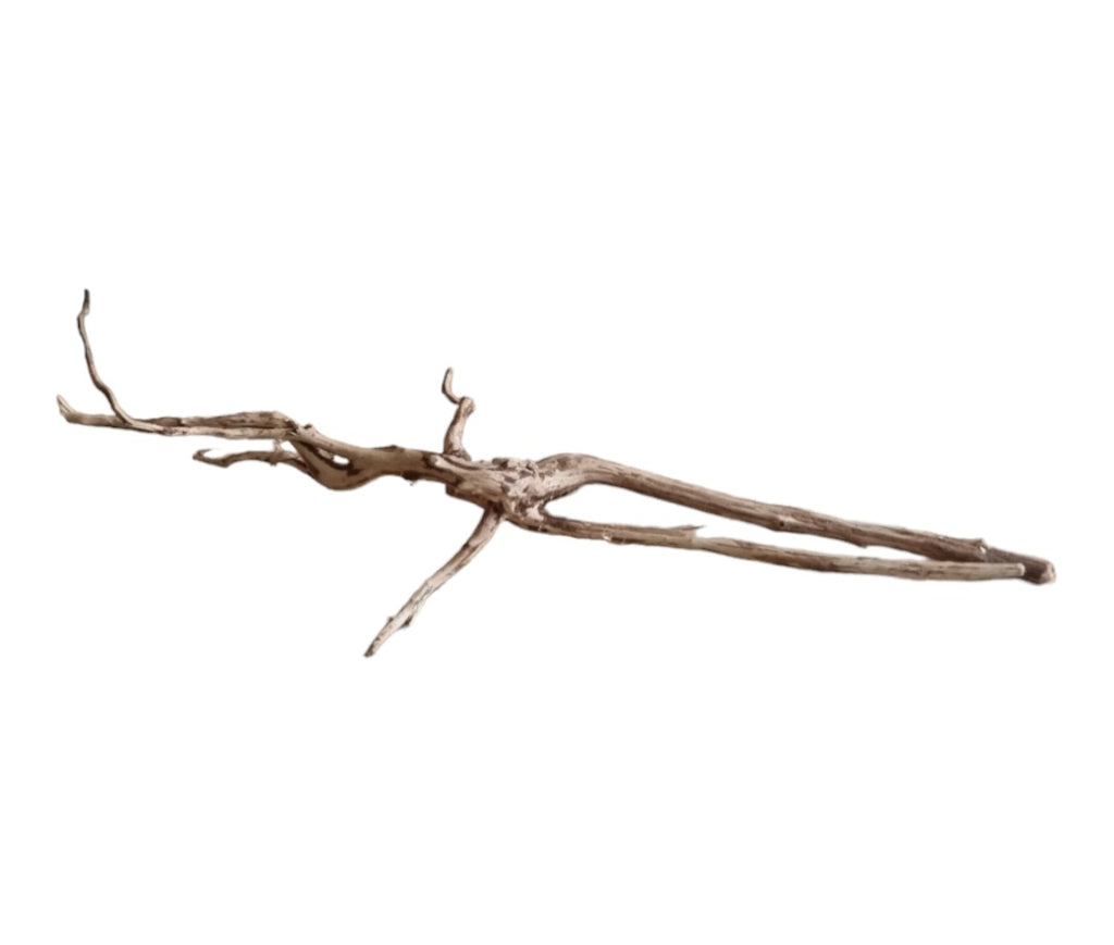Dark Snake Wood Nr.449