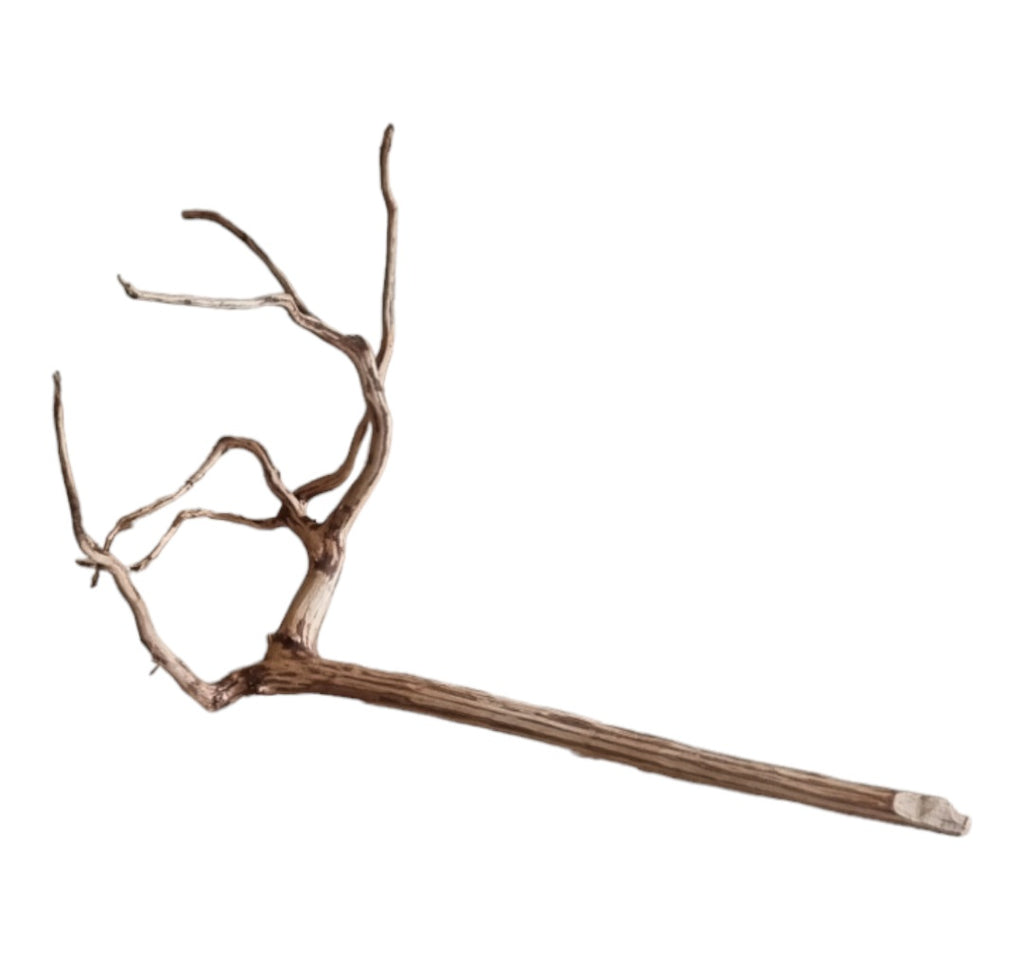 Dark Snake Wood Nr.450