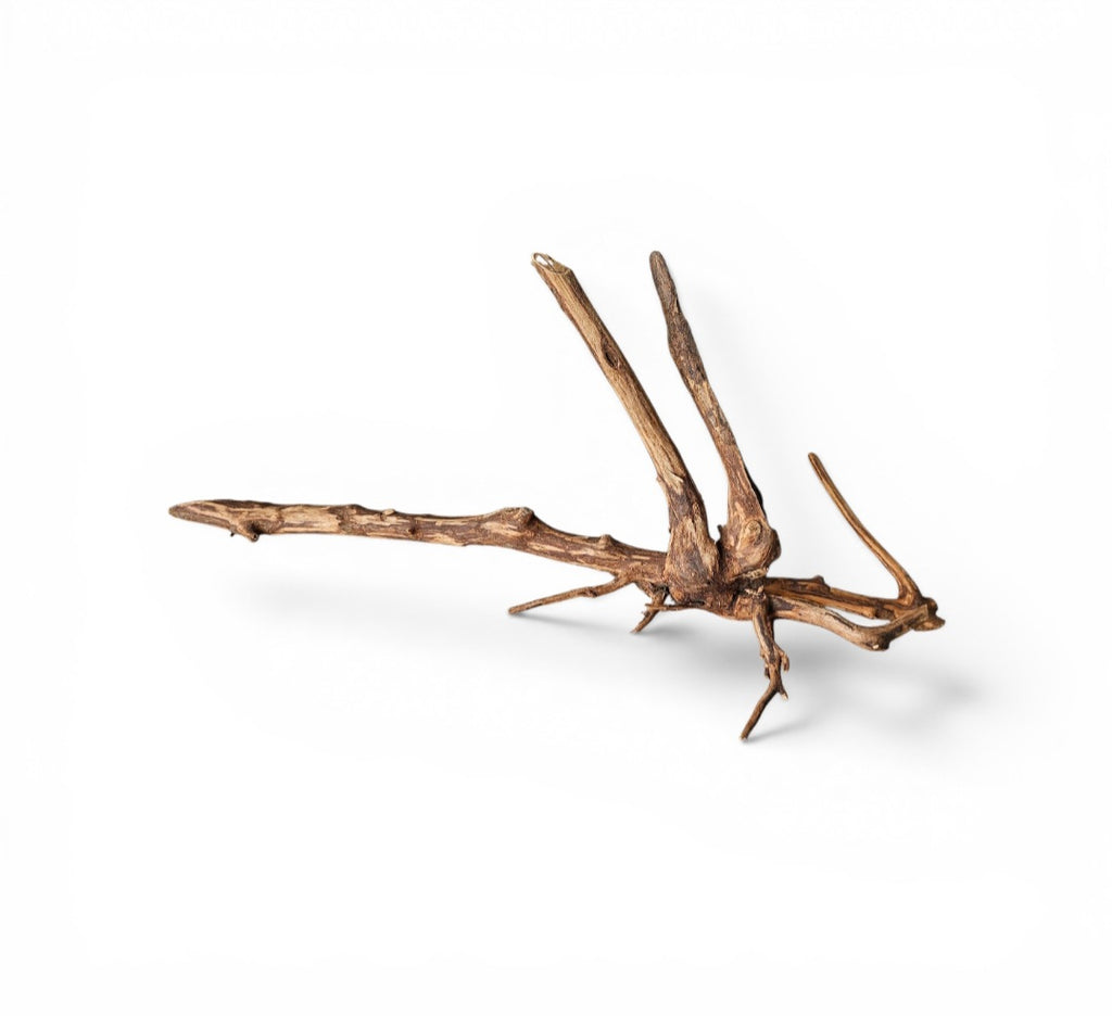 Dark Snake Wood Nr.452