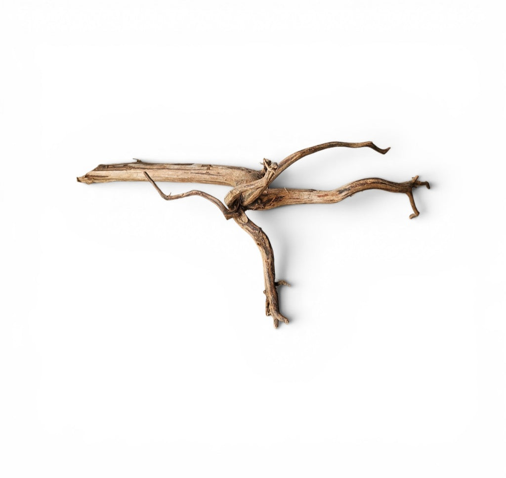 Dark Snake Wood Nr.453