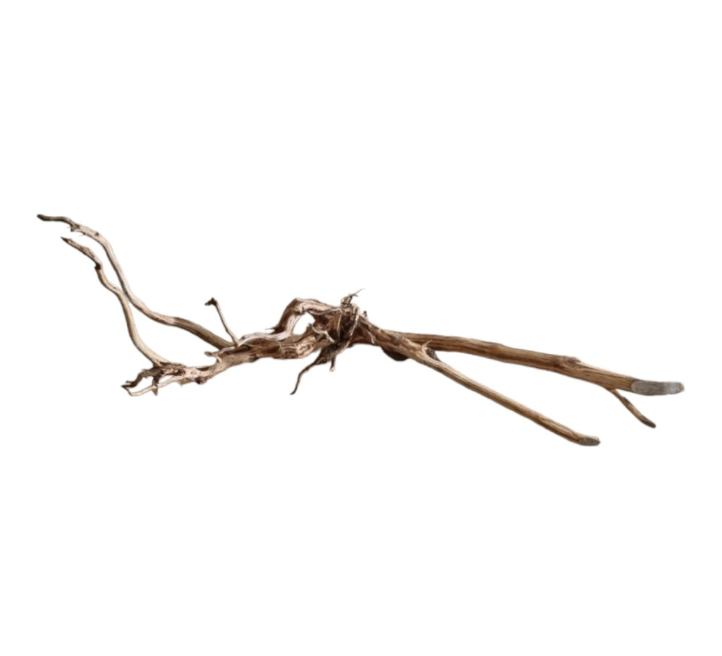 Dark Snake Wood Nr.456