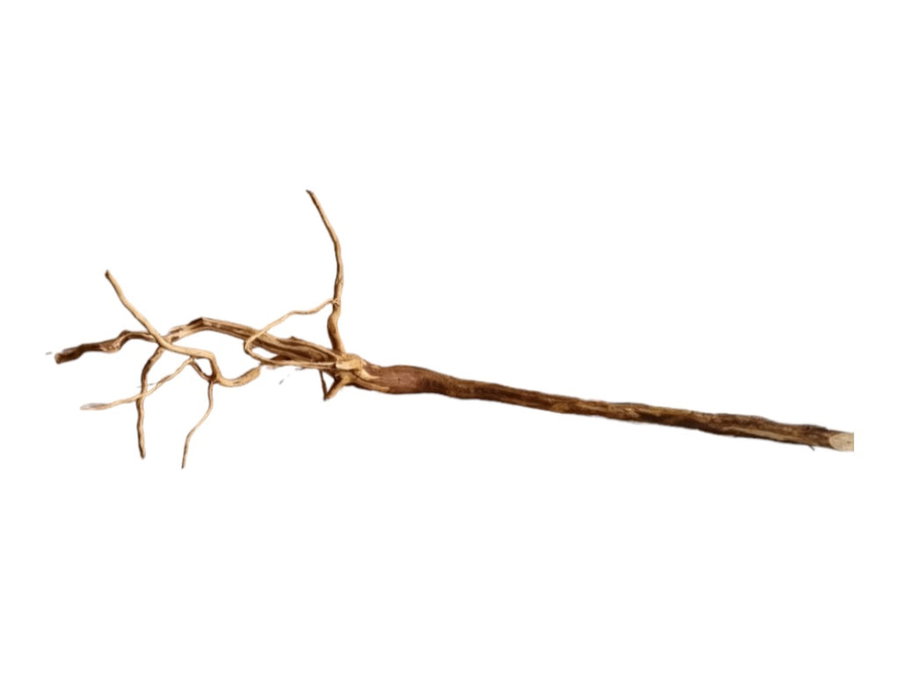 Dark Snake Wood Nr.437