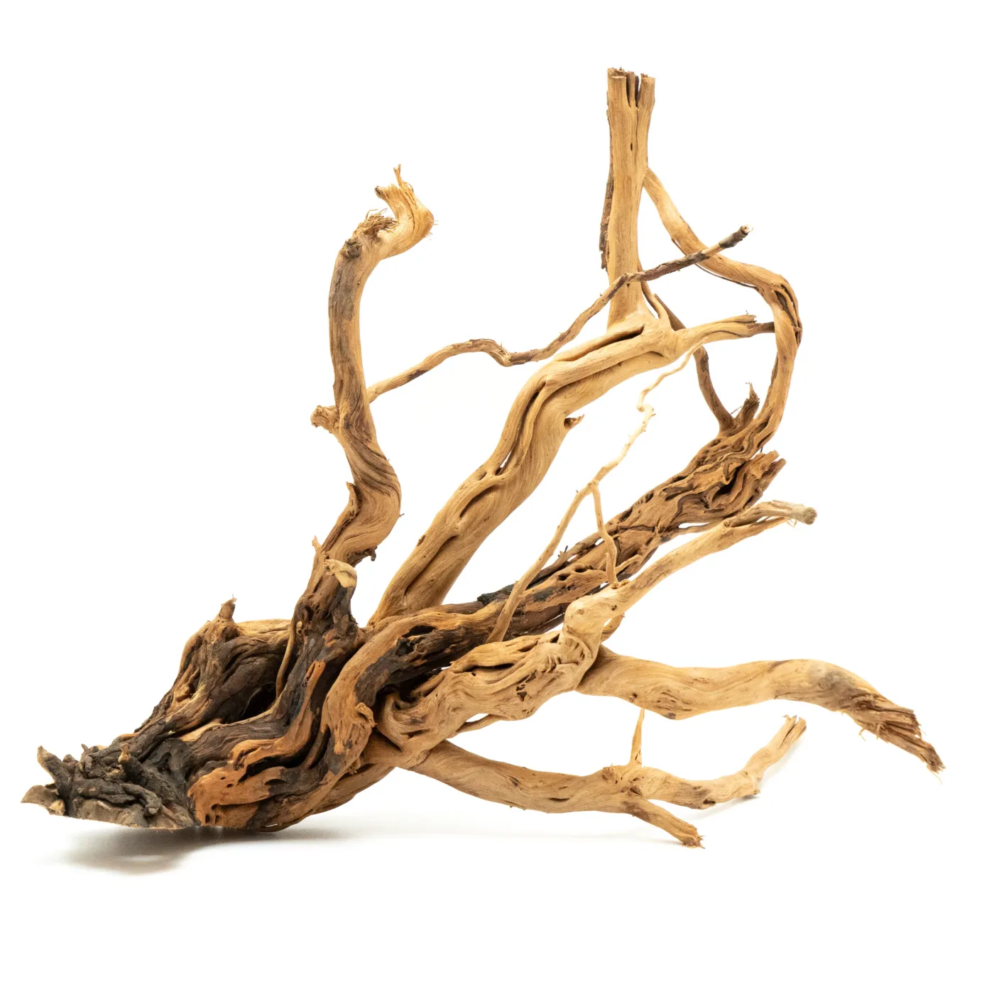 Dragon Skin Wood