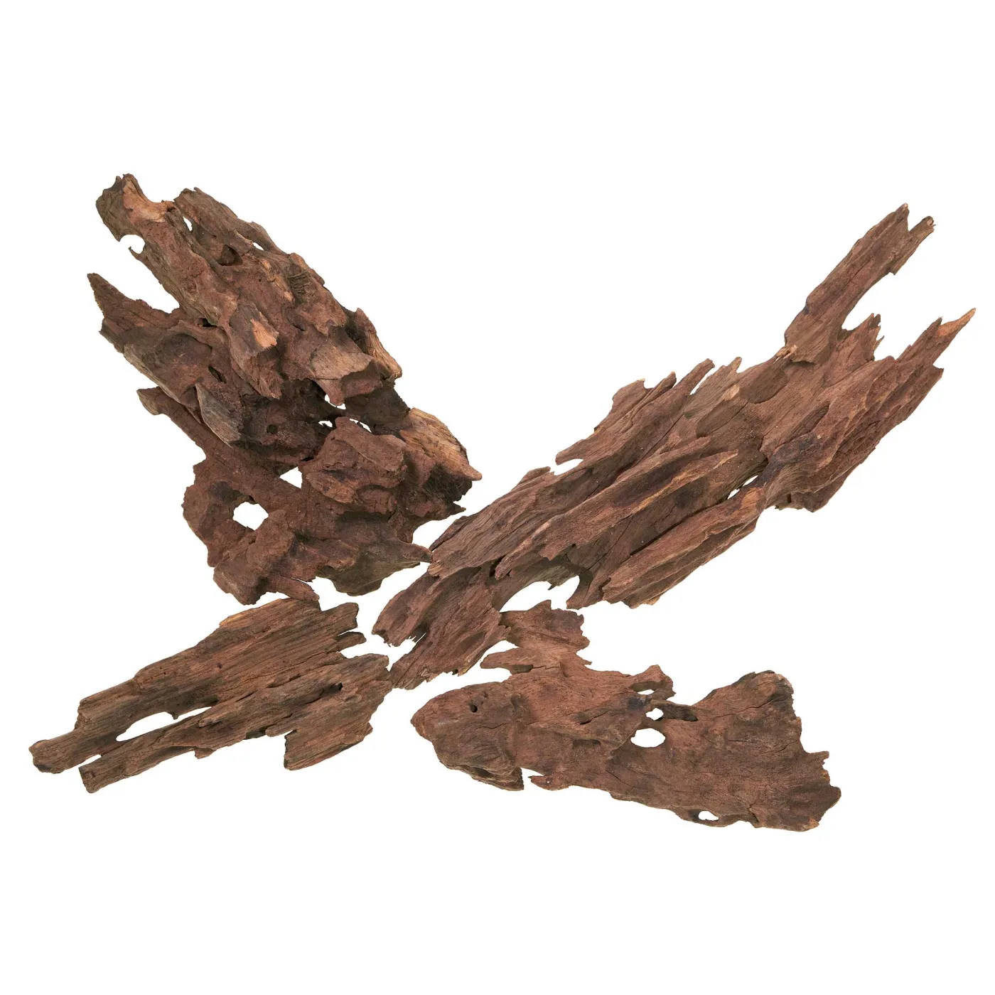 Dragonwood | Drachenholz | Ohkowood