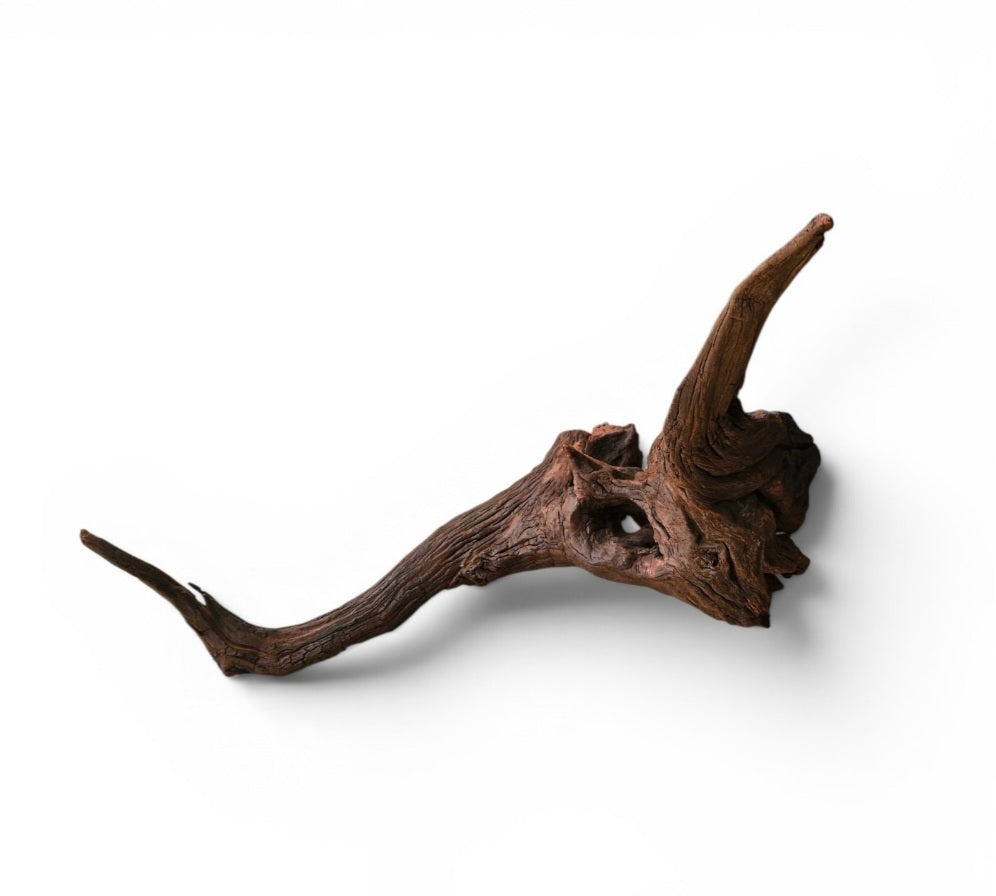 Driftwood / Flusswurzel Nr.6