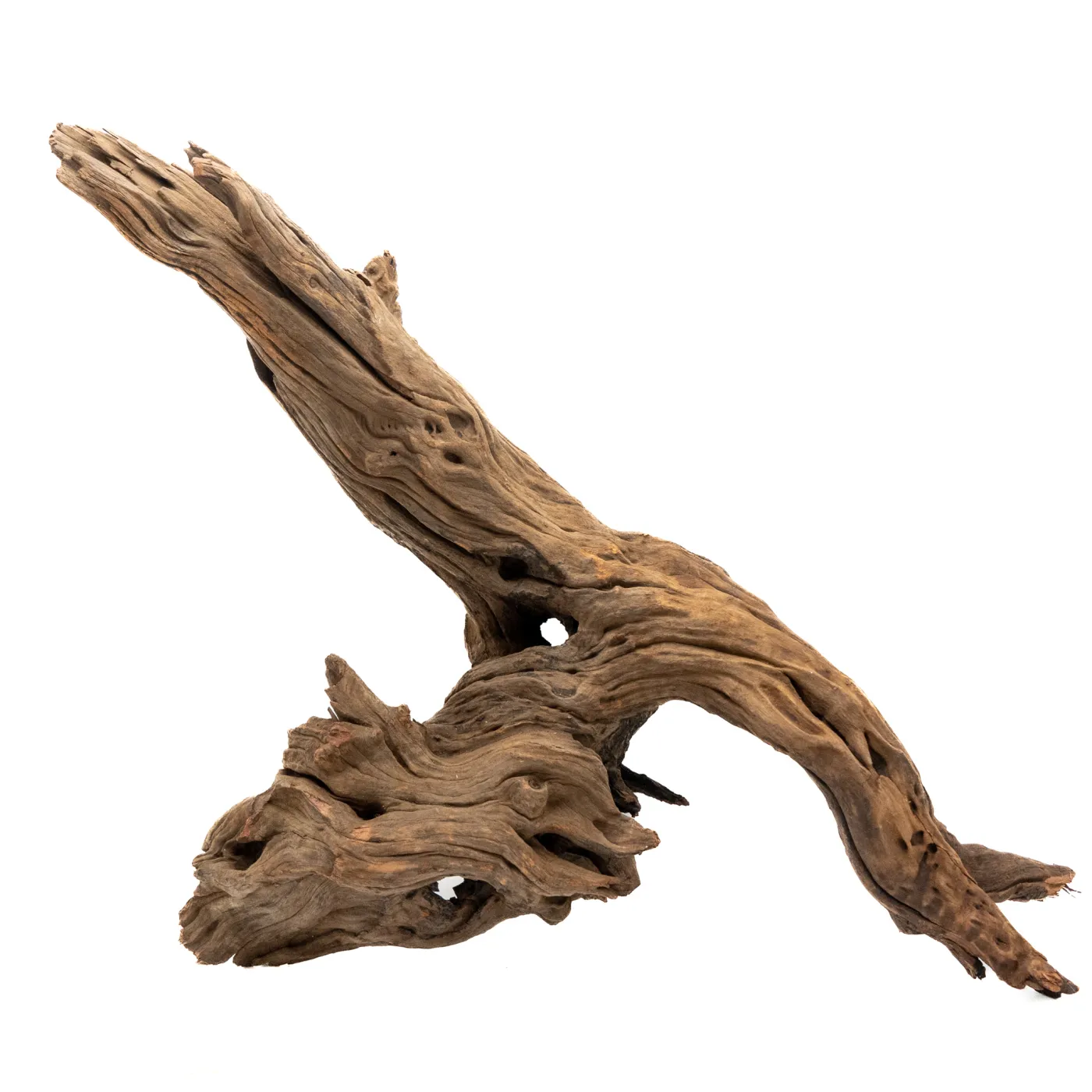 Driftwood XXL