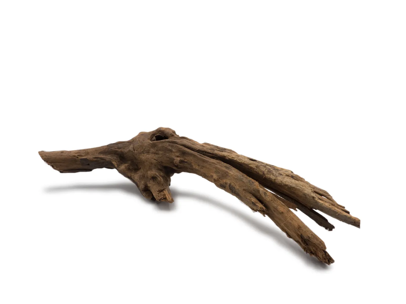 Driftwood