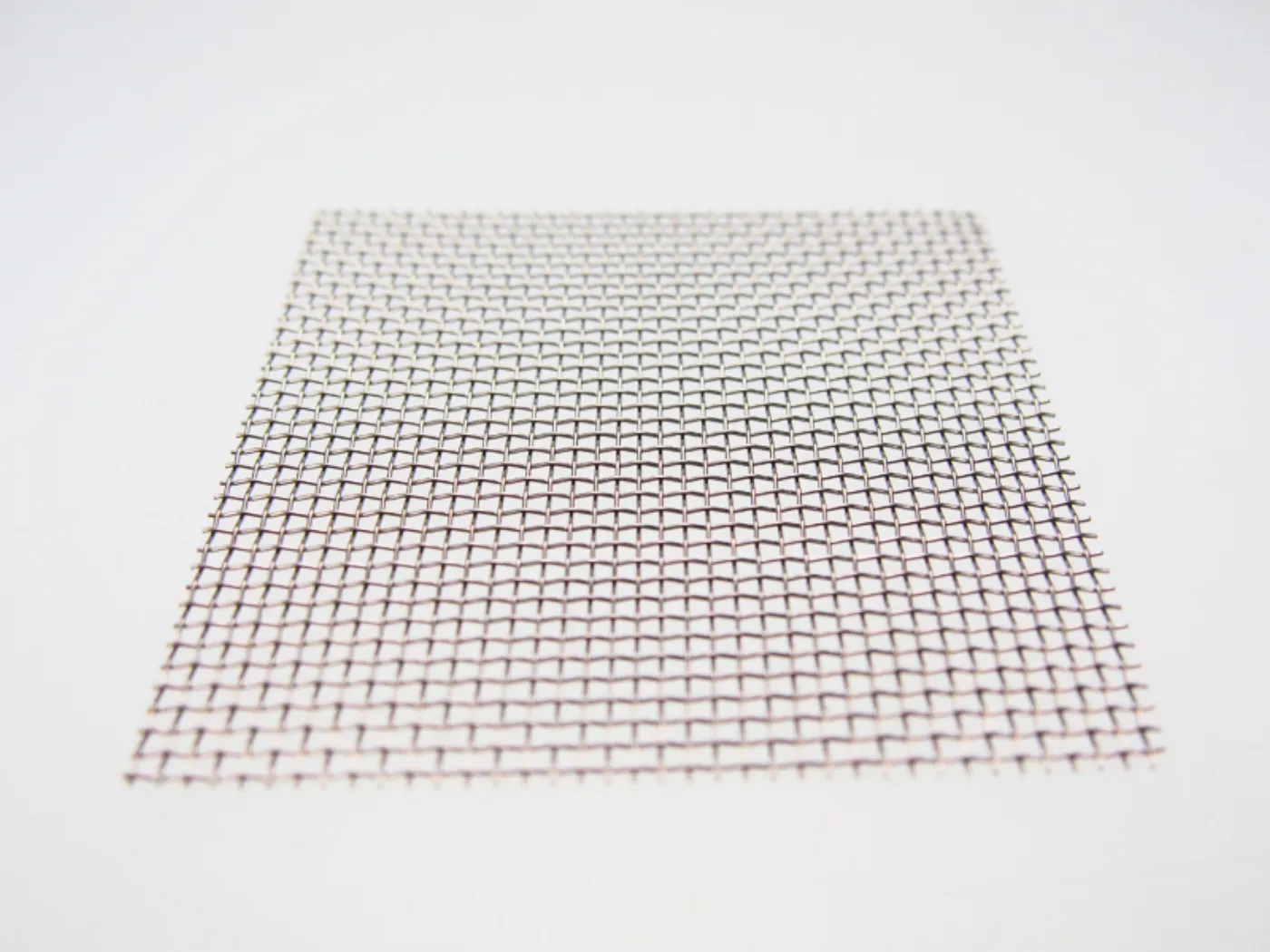Edelstahlgitter Moosgitter Pflanzengitter 8x8cm