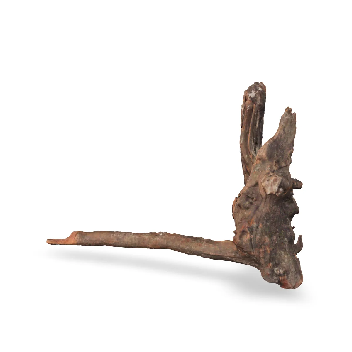 Flusswurzel 3D Nr. 1085 (44x39x16cm)
