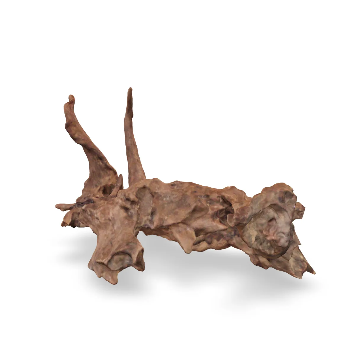 Flusswurzel 3D Nr. 1102 (28x18x15cm)