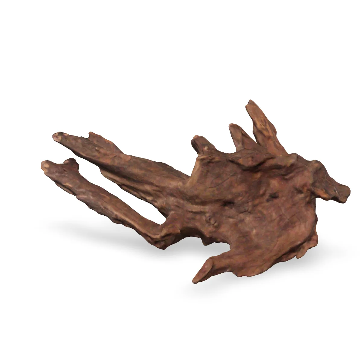 Flusswurzel 3D Nr. 1117 (29x20x9cm)