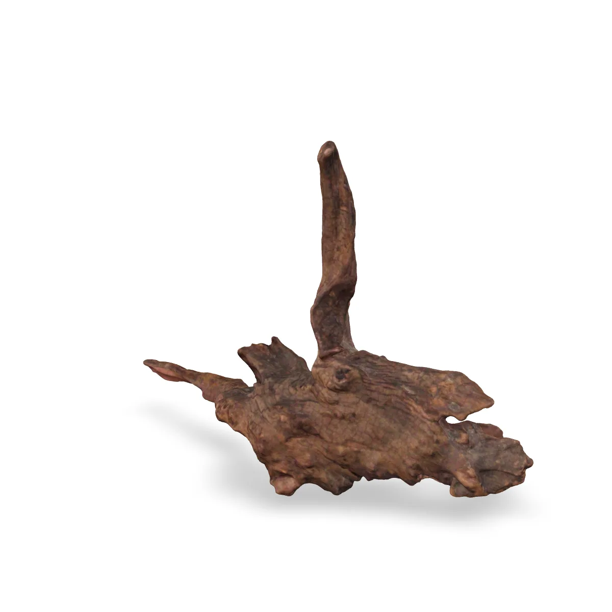 Flusswurzel 3D Nr. 1119 (34x26x11cm)