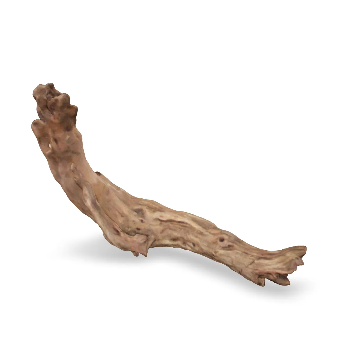 Flusswurzel 3D Nr. 1152 (26x12x7cm)