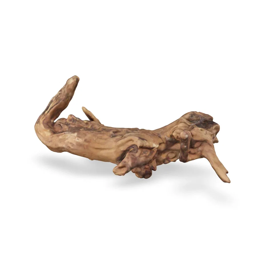 Flusswurzel 3D Nr. 1153 (25x11x11cm)