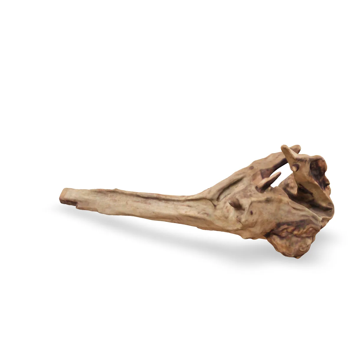 Flusswurzel 3D Nr. 1154 (26x13x9cm)