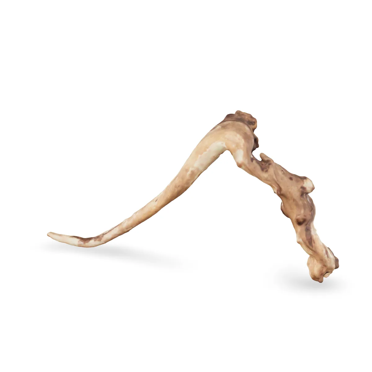 Flusswurzel 3D Nr. 1158 (32x18x6cm)